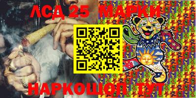 гашик Канаш