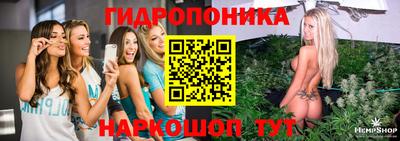mdpv Кандалакша