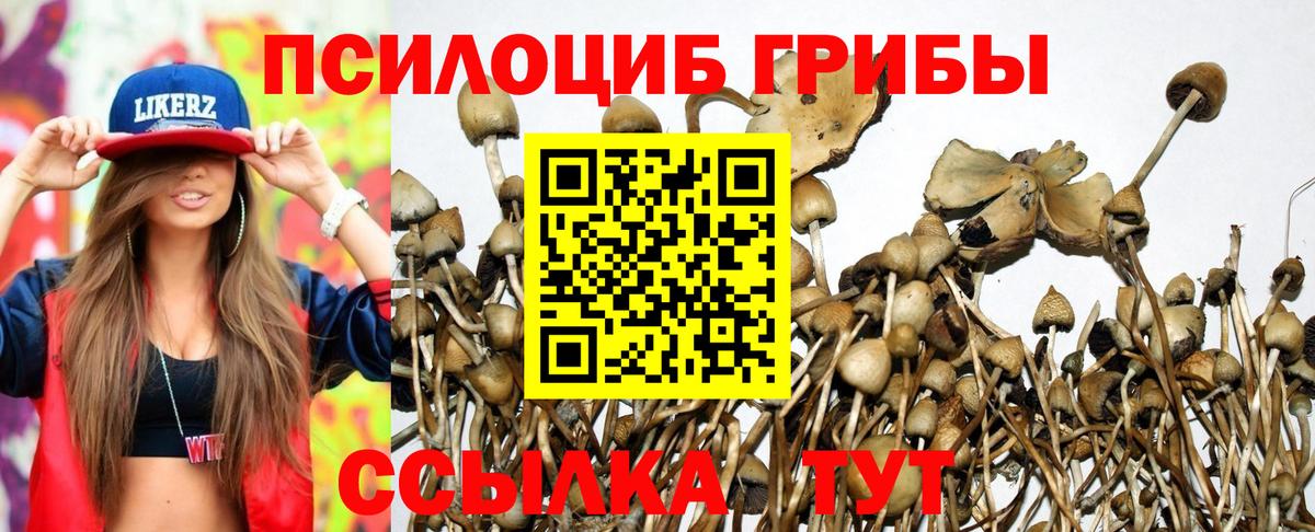 Галлюциногенные грибы GOLDEN TEACHER  Вход с VPN  Кубинка 