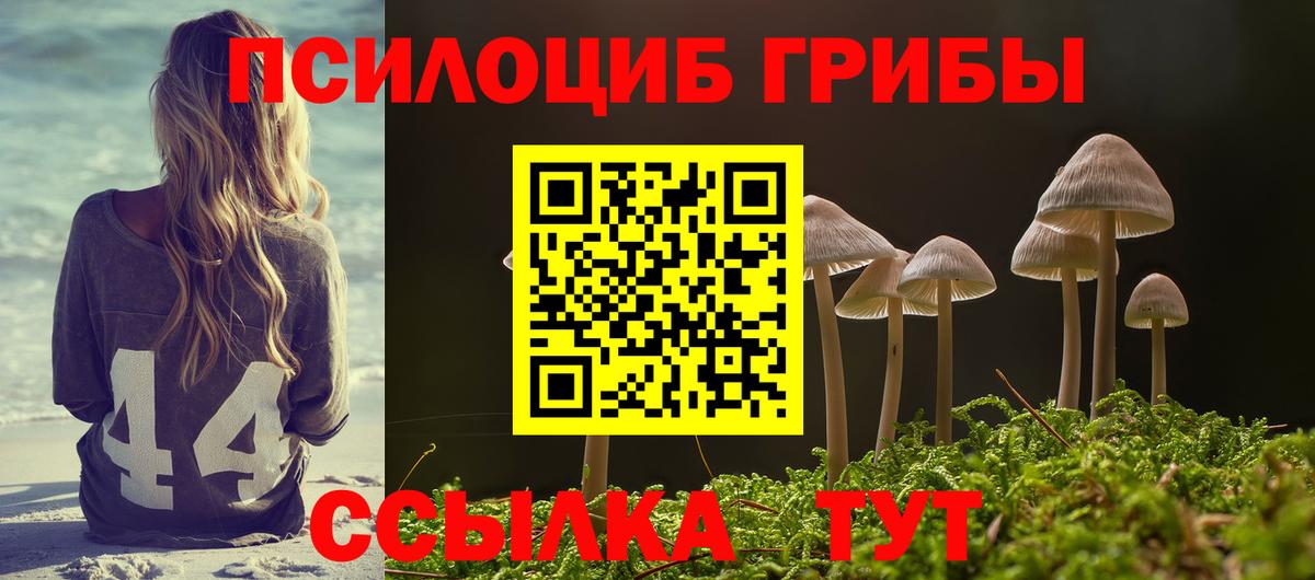 Псилоцибиновые грибы Psilocybine cubensis Кубинка